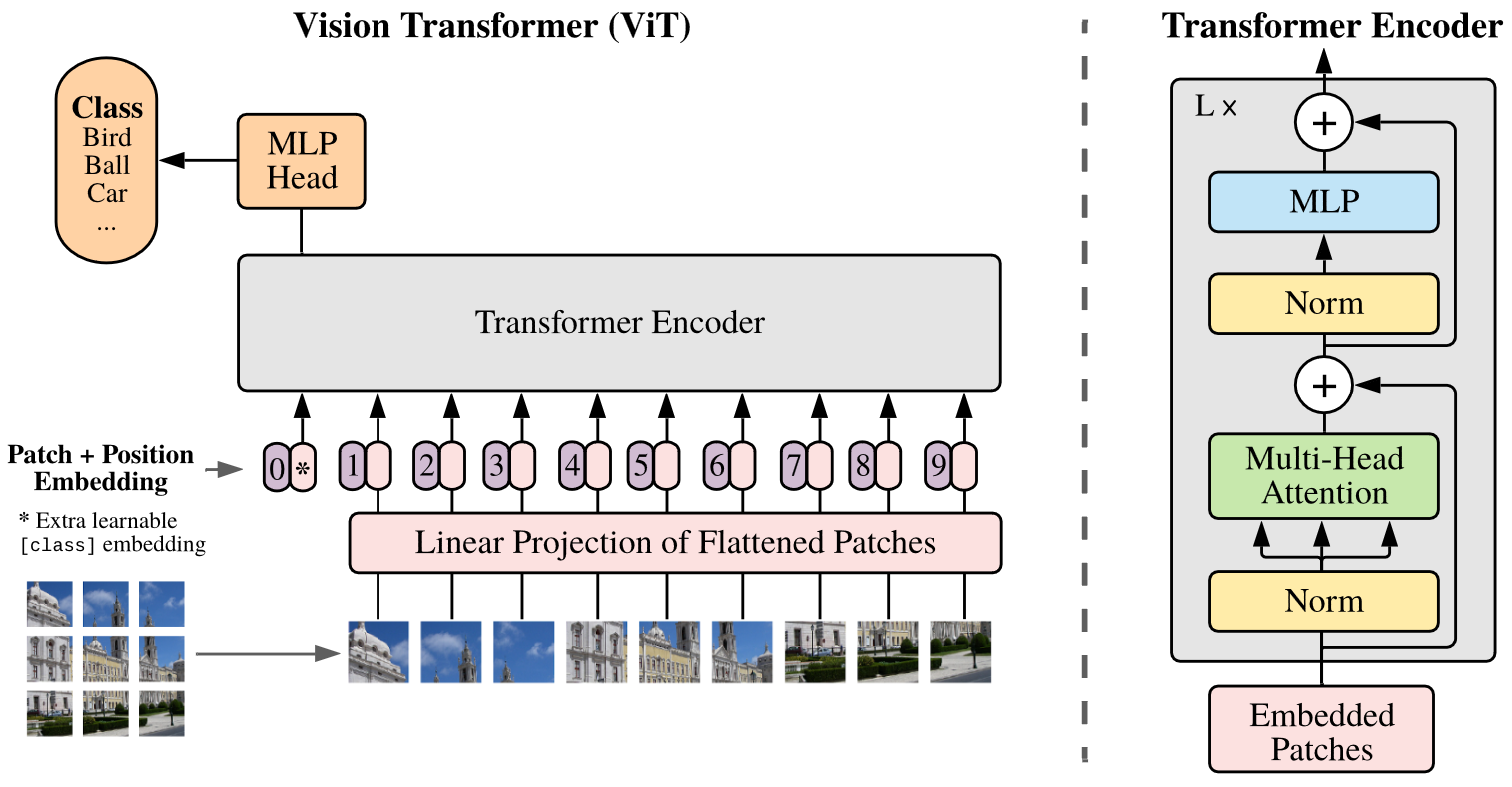 ViT 模型架构图